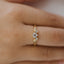 Hapi Ring