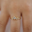 Hapi Ring